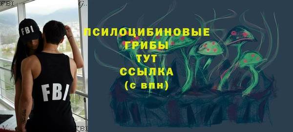 PSILOCYBIN Армянск