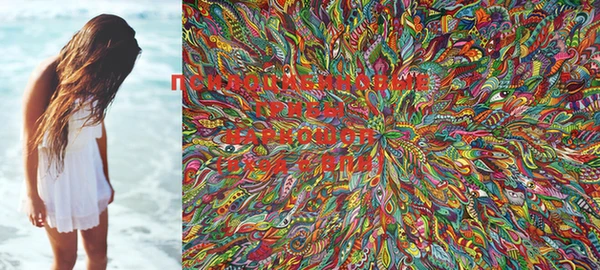PSILOCYBIN Армянск