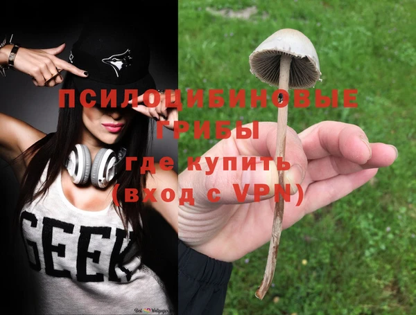 винт Арсеньев