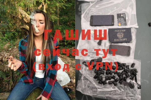 PSILOCYBIN Армянск
