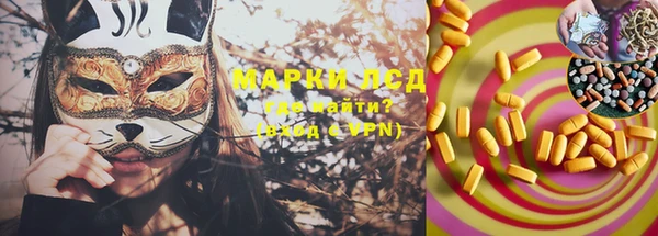 PSILOCYBIN Армянск
